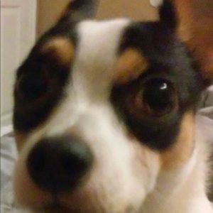 Meet your Posher, Ann